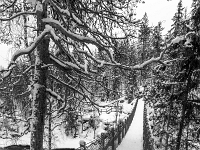 Park Narodowy Oulanka